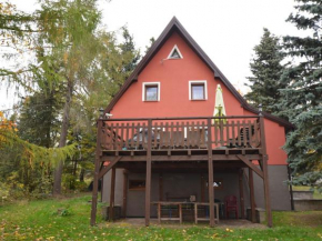 Holiday home in Erzgebirge Mountains with terrace Mezihoří